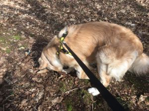 Having a sniff