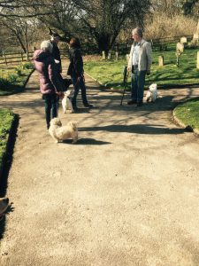 Fran, Iain and friends