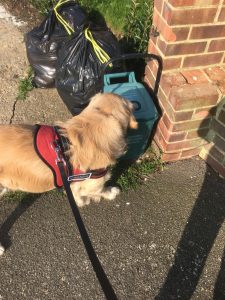 Having a good sniff