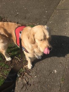 Licking my lips