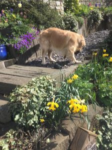 Playing in the garden