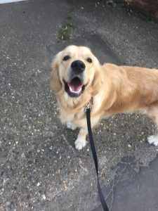 Monty going nowhere