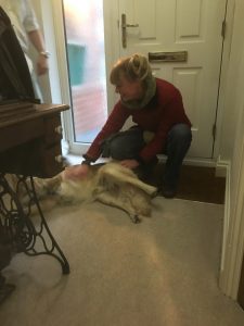 Amanda giving Monty a tummy rub