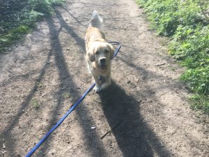 Monty on the long line