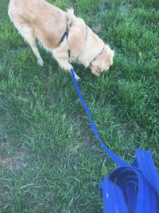 Monty sniffing