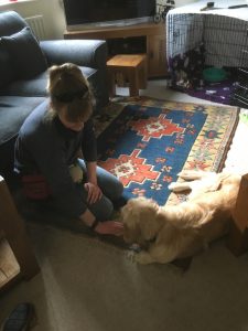 Learning a 'wait' command