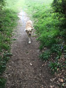 Having a walk round the Hilly Fields route before going to Jake, Zena and Simon