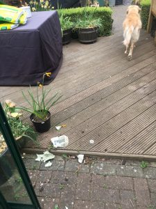 I walked off in a marked manner when I realised my efforts were not appreciated!
