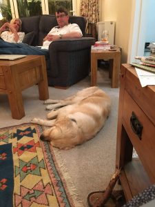Monty is completely 'cream crackered'