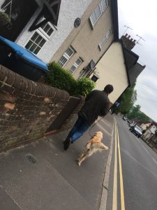 Strolling down the High Street
