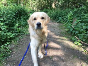 Running back for a treat