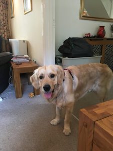 Monty being cute!
