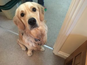 A damp and tired Monty