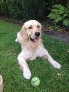 Zena says I am a nightmare with a ball because I am obsessed with it, but she's joking really ... I think!
