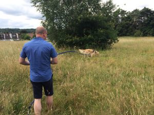 I took Alex and his Mum on a walk around Hilly Fields to show his Mum where my favourite walk is.