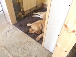 I eventually found a relatively cool spot in the house and rested there in the hot weather.