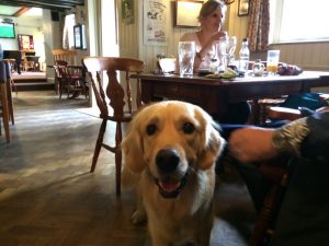 I took Jo, Alex's mum, Richard and Alex into the Hare and Hounds for a spot of lunch.