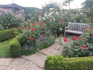 There were hundreds of roses in the rose garden all with fabulous scents and things. I don't really know why I didn't go with them!