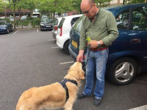 If I walk nicely and don't pull, or I am good about going in the car, I get a treat!