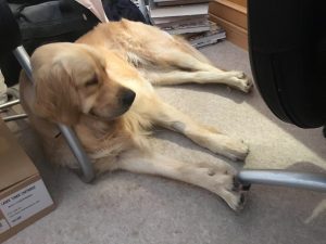 Just getting comfortable before I lay down and inspect the inside of my eyelids!