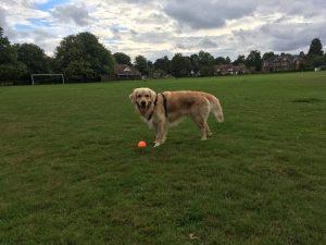I had a great time playing with my ball on The Green.