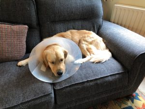 I hate that flippin' lampshade and if I don't look very happy, I'm not!