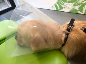 I wasn't very happy at the hospital and I certainly wasn't going to look at him!