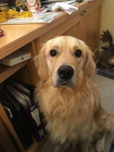 I just sit. I look up at him and will him to do something ... anything!