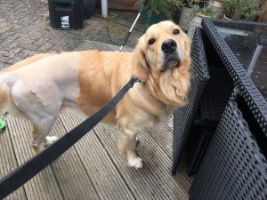 What does he keep on telling me I can't do things?