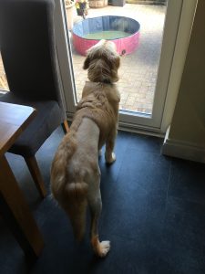 There's a whole world out there that I can't wait to explore!