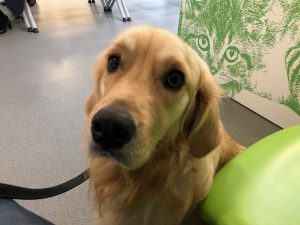 Here I was again. Waiting for my turn to be admitted for my latest operation. It isn't much fun, you know!