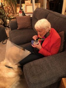 Whenever they come around, Mrs Cheese always has a treat for me!