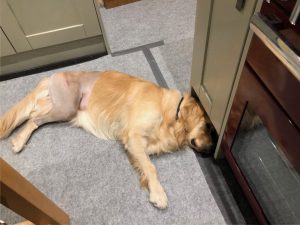 This cooking lark is sooo boring! He spends hours and I get nothing to eat at the end!