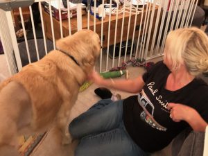 Me and my friend Zena ... she's just luvely and I love being loved by her!