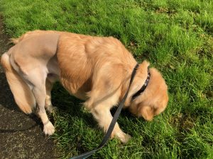 There are a huge number of messages that I missed when I wasn't out walking.