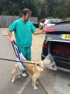 My personal surgeon, Bonito de la Puerta, accompanied me to the car when I left the hospickle.