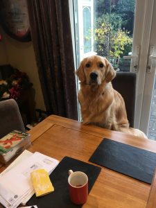What do you mean get off that chair? Where's my breakfast!