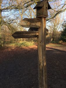 There are even signposts in Peter Rabbit wood to tell you where to find things!
