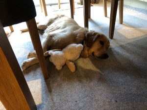 Being a little tired, I took my new bear whilst I pushed out a few ????s!