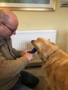 Just give me the flamin' bone, it is my present! I don't need you to unwrap it, I am quite capable of tearing a bit of paper!