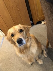 Excuse me, but can I open my cards and my presents please? This birthday has taken a whole year to come around!