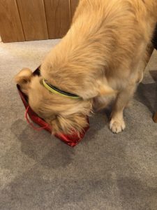 Ah, that's better! Presents!!!! Now what's in here?