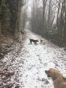 This snow stuff is good fun but blimey it's cold!