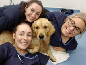 Me (I'm the good looking one in the middle!) with my personal therapists Zoe (top left), Katie (right) and Emily (bottom left).