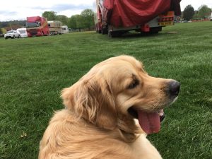 Strictly woofing, it was a fair, but I wasn't really talking about that!
