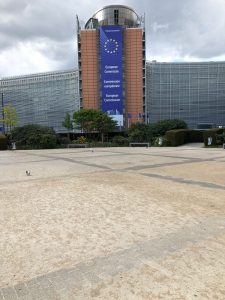 I think this place looks quite nice but apparently some people printed something on the side of a bus and then lots of other people decided it isn't. Oh, I don't know ... I don't understand politics and we don't have them in the doggy world!