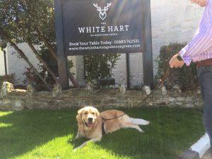 They've done a great job doing this pub up and this grass is rather lovely!