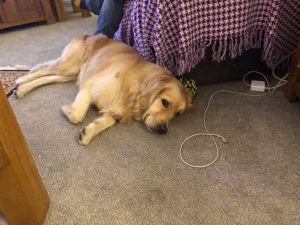 I was completely cream crackered after all the shenanigans on Thursday!