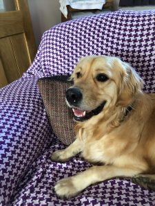 I am pleased to be home really and I'm even pleased to see them, but don't tell him!