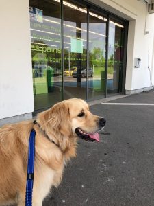 Waiting outside the supermarket for Daddy Richard who was buying a few essentials for the morning!